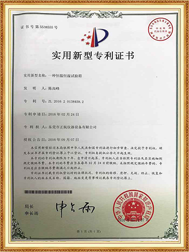 伊人久久精品视频专利证书