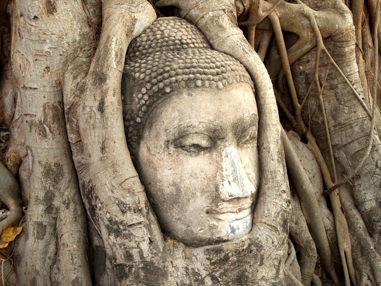 吕天宇