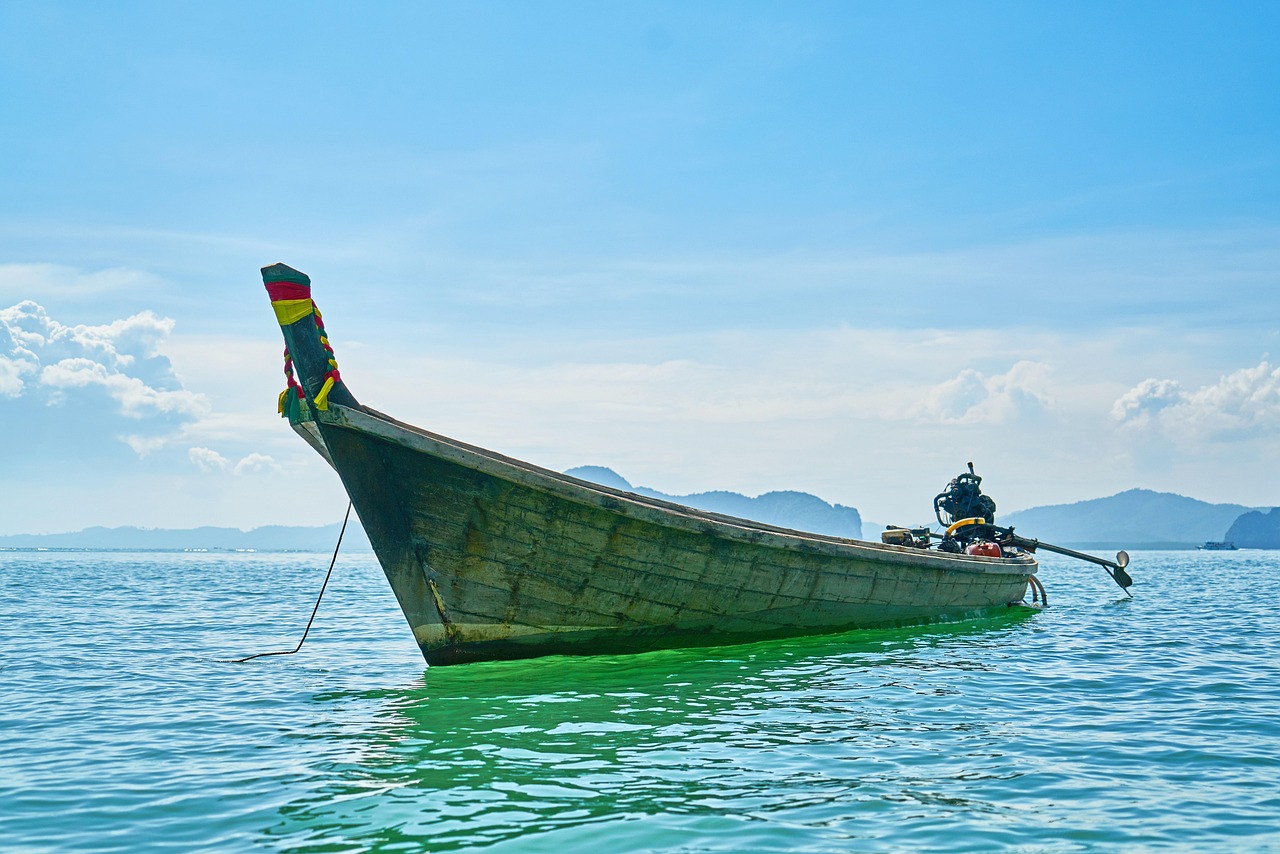 探索世界巡游文化，一场跨越时空的旅程